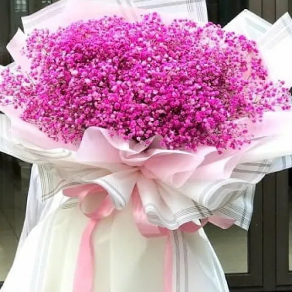 Nụ cười say nắng - HSG355