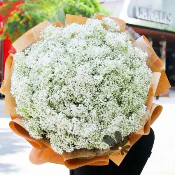 Baby trắng đáng yêu HSG298