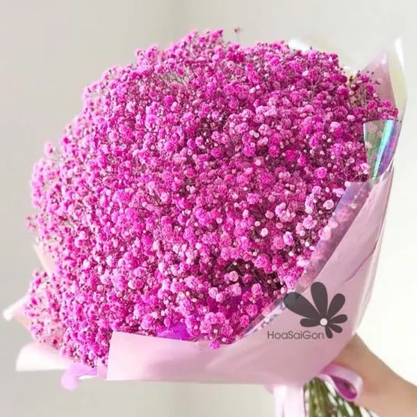 Tình mãi không phai HSG293