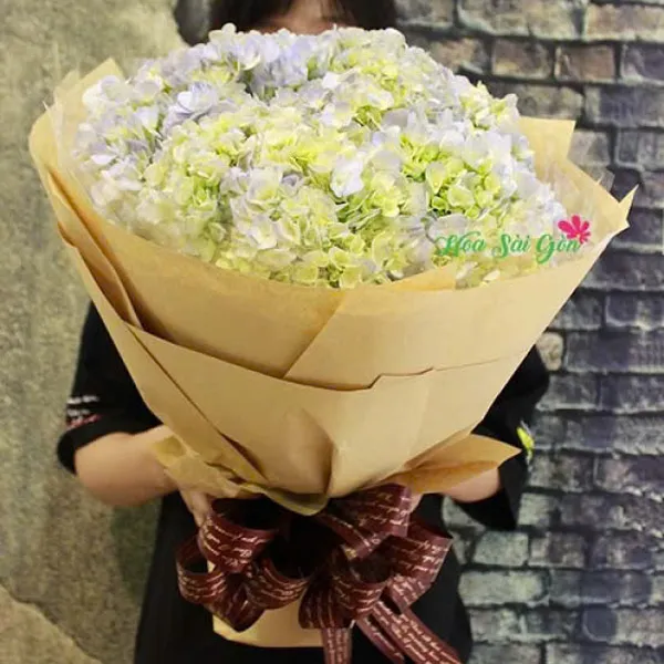 Hương tình muộn HSG222