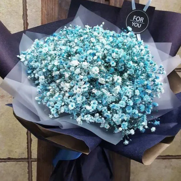 Mãi xanh tình yêu - HSG353