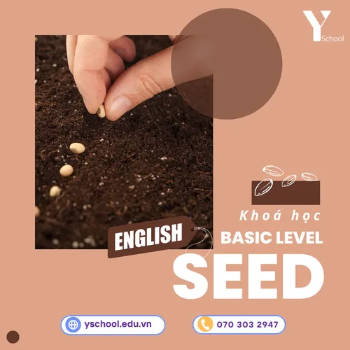 KHOÁ HỌC BASIC LEVEL – SEED