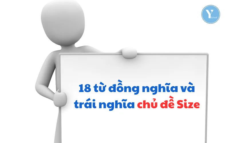 Vocab with YSchool – 18 từ đồng nghĩa và trái nghĩa chủ đề Size