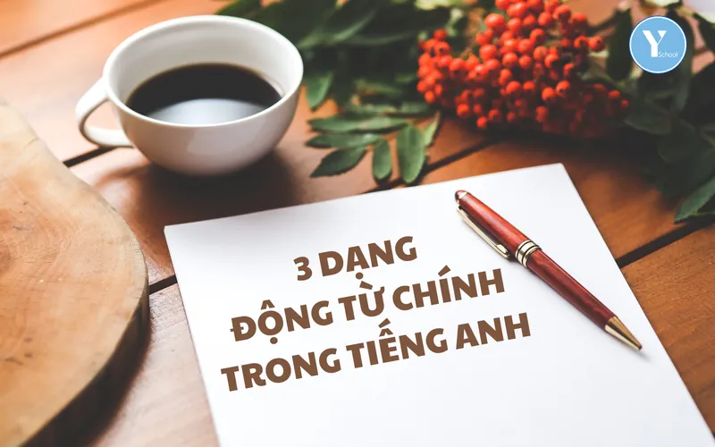 ENGLISH GRAMMAR: 3 DẠNG ĐỘNG TỪ CHÍNH TRONG TIẾNG ANH (động từ nối – động từ hành động – động từ trạng thái)