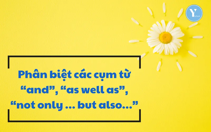 Phân biệt các cụm từ “and”, “as well as”, “not only … but also…”