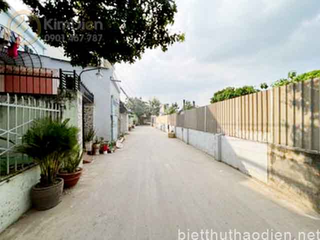 ban dat gan cho cay xoai phuong cat lai