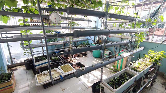 ban nha 1 tret 3 lau duong tran quang khai quan 1 (4)