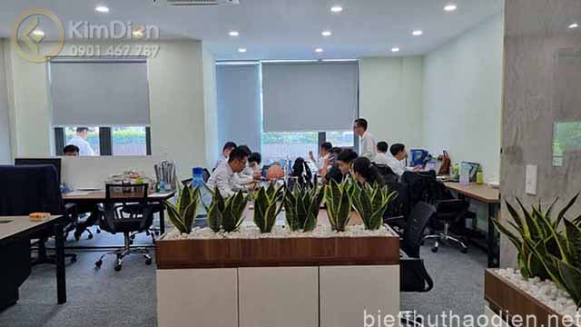 ban nha duong bat nan phuong thanh my loi (2)