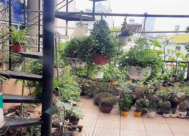 ban nha duong de tham dien tich dat 68m2 gia ban 33 ty (1)