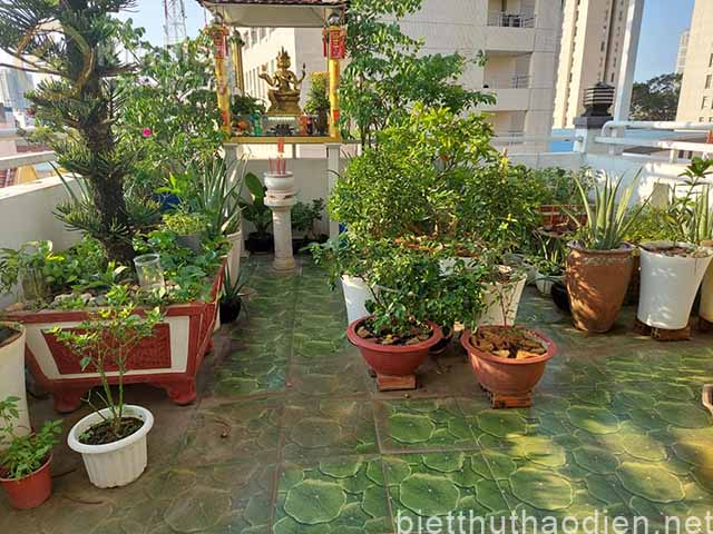 ban nha duong nguyen canh chan q1 (4)