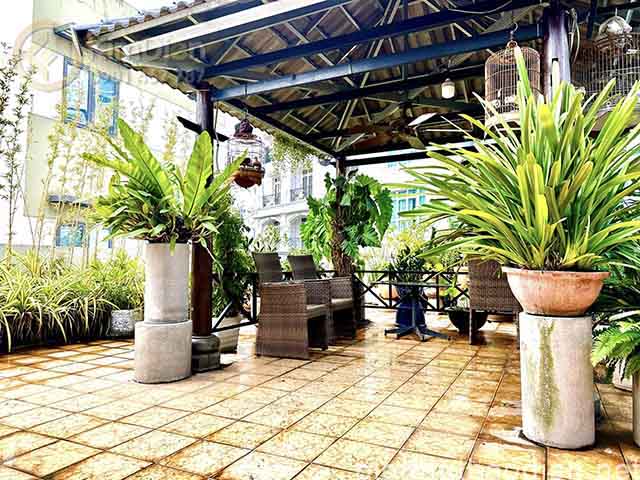 ban villa phuong thao dien thanh pho thu duc (3)