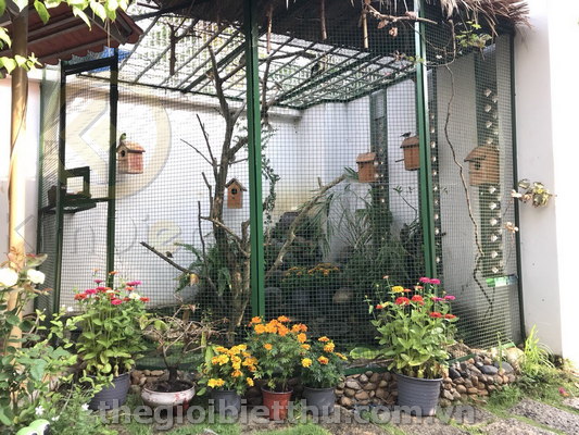 Bán biệt thự Quận 9 Bán biệt thự Quận 9