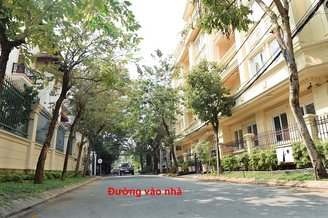 biet thu thao dien quan 2 biet thu thao dien quan 2