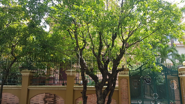 bán biệt thự Thảo Điền Quận 2 bán biệt thự Thảo Điền Quận 2