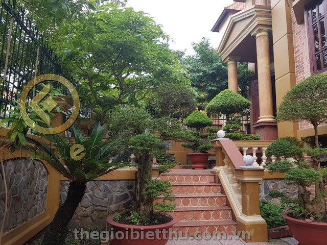 biệt thự thảo điền biệt thự thảo điền