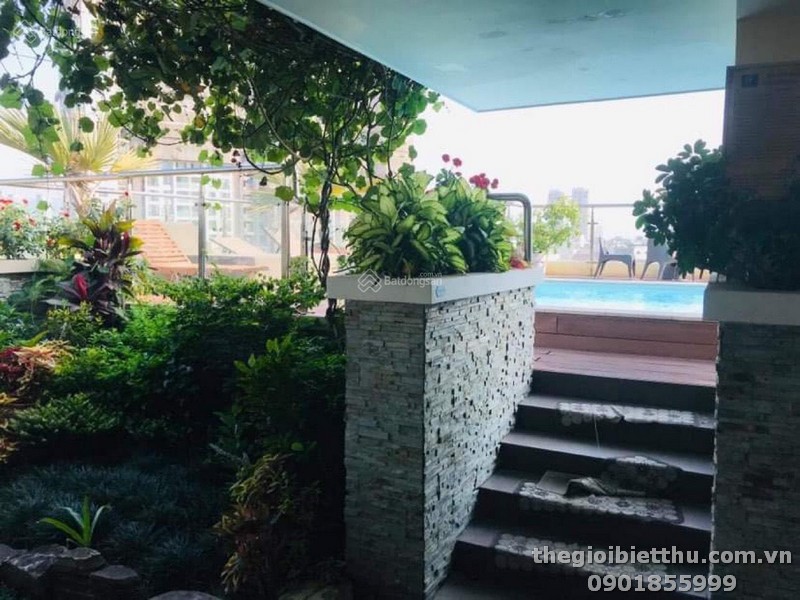 toa nha thao dien toa nha thao dien