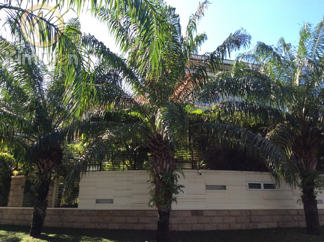 cho thue biet thu thao dien cho thue biet thu thao dien