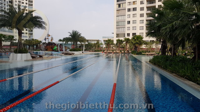 bán sky villa đảo kim cương bán sky villa đảo kim cương