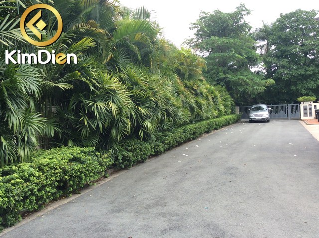 cho thue villa riviera quan 2 cho thue villa riviera quan 2