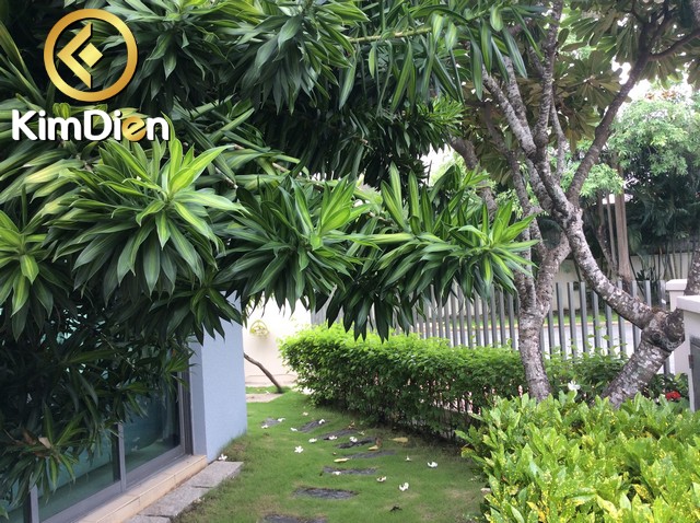 cho thue biet thu riviera quan 2 cho thue biet thu riviera quan 2