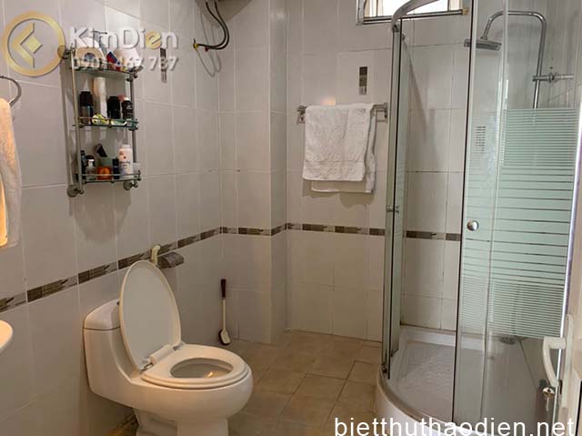 villa for rent thao dien (2)