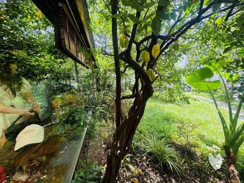 Bán Đất Thảo Điền Diện Tích 300m2 Sổ Hồng Riêng
