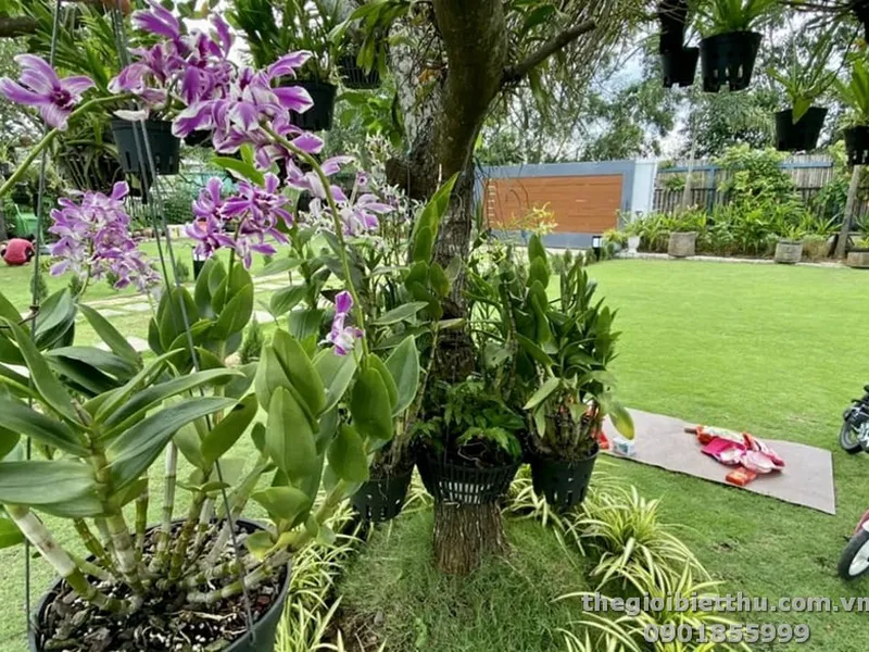 Bán biệt thự đẹp An Phú Thành phố Thủ Đức