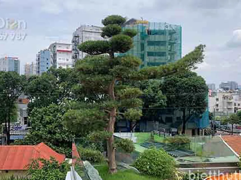 Bán Biệt Thự Đường Tú Xương Quận 3