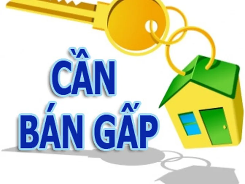 BÁN ĐẤT KHU BIỆT THỰ 146 NGUYỄN VĂN HƯỞNG THẢO ĐIỀN