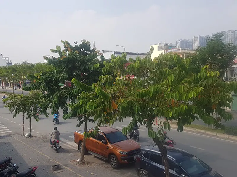 Bán đất mặt Sài Gòn 5 Rivier Mark Trần Não