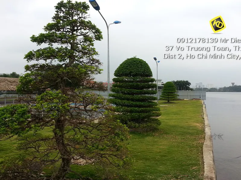 Bán đất Thảo Điền khu biệt thự ven sông