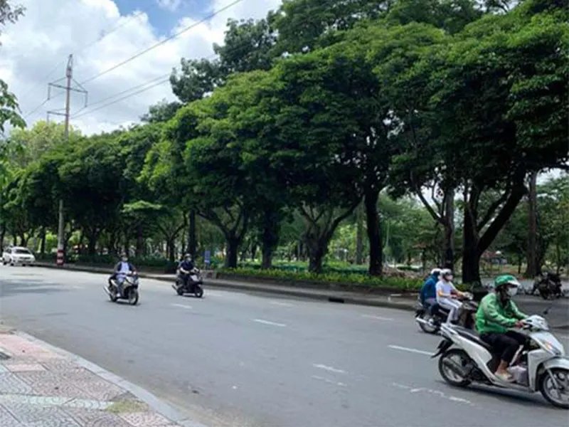 Bán Nhà Đường Điện Biên Phủ Quận 1 Gần Công Viên Lê Văn Tám