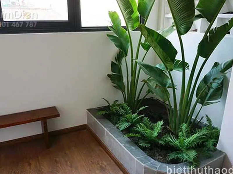 Bán Nhà Đường Nguyễn Văn Thủ Quận 1 Diện tích 119m2 (7x19m)