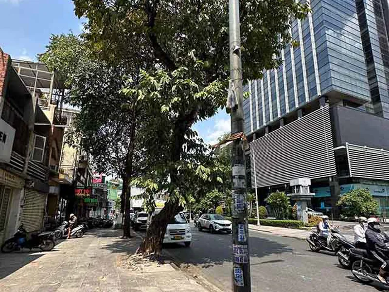 Bán Nhà Mặt Tiền Đường Võ Thị Sáu Xây Dựng 3 Tầng