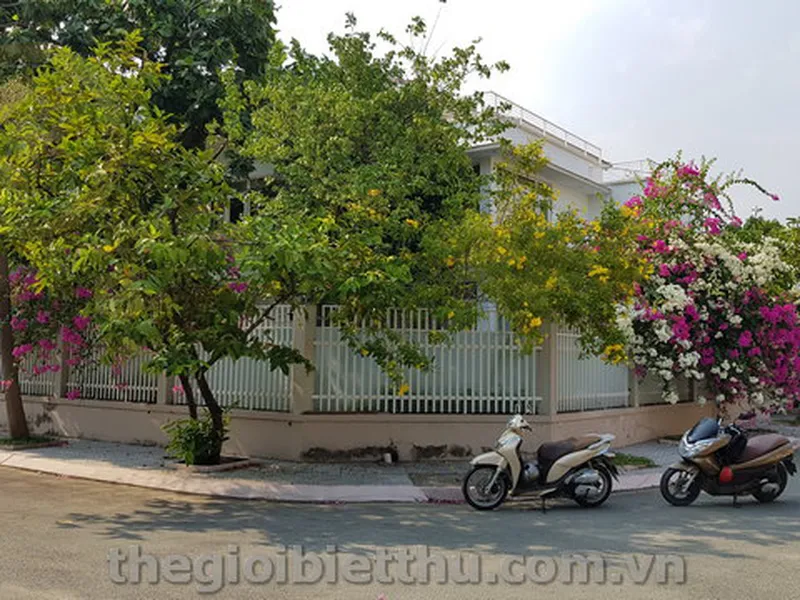 Cho thuê biệt thự Thảo Điền nhà góc đẹp