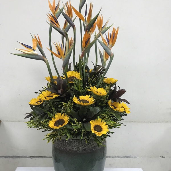 Thiết Kế Hoa Để Bàn Hội Nghị Thiên Điểu Cao Cấp | Hoa Flower Dance