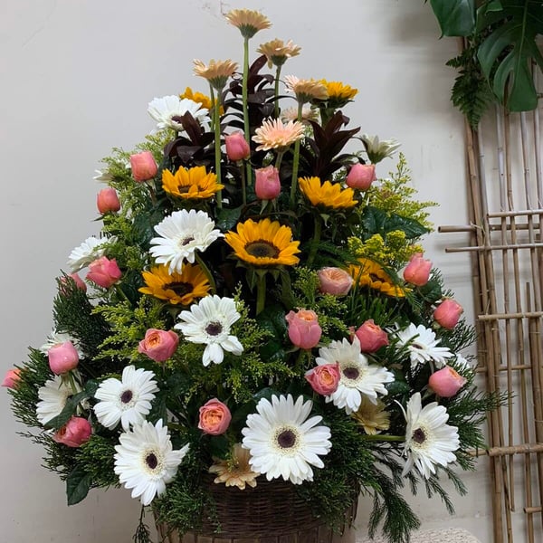 Lãng Hoa Khai Trương Hướng Dương May Mắn | Hoa Flower Dance