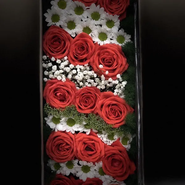 Hoa cắm hộp đỏ