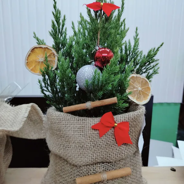 Mua cây thông noel