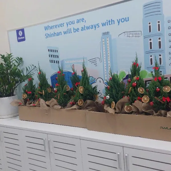 Mua cây thông noel