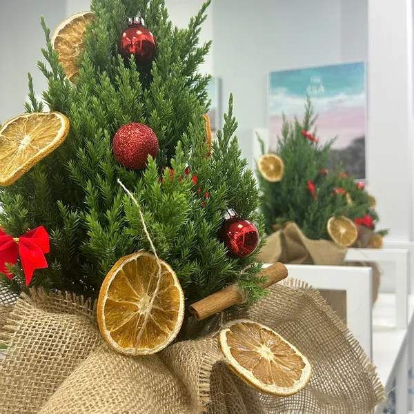 Mua cây thông noel