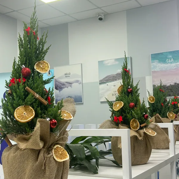 Mua cây thông noel