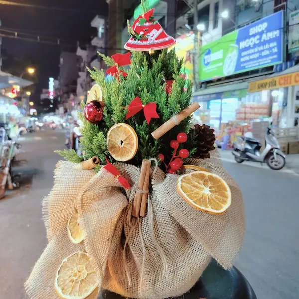 Mua cây thông noel