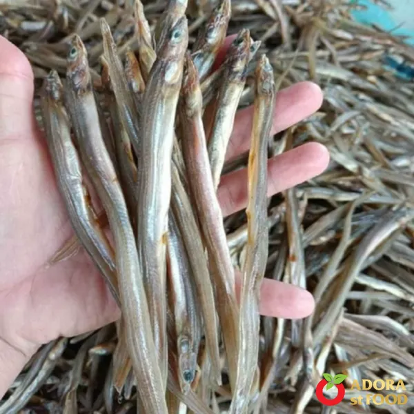 Premium Dried Cartilage Fish