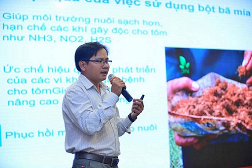 Dùng bã mía lên men duong tinh luyen