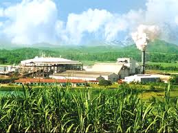 Giá đường cát gia duong cat