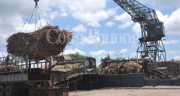 Xây dựng pháp lệnh mía đường Xay dung phap lenh mia duong