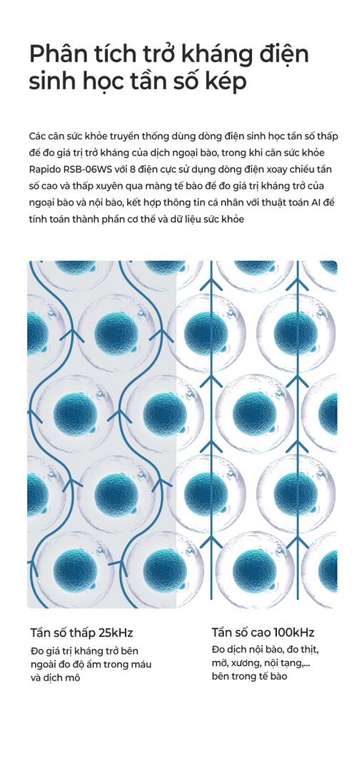 Cân sức khỏe thông minh Rapido RSB-06WS Cân sức khỏe thông minh Rapido RSB-06WS