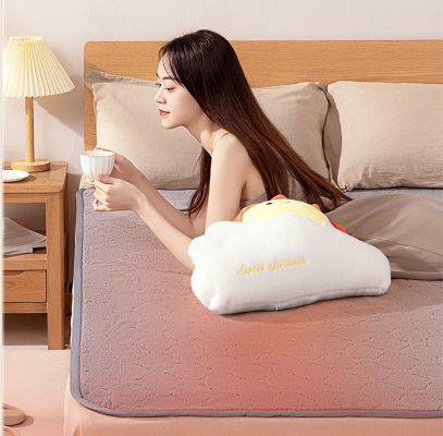 Chăn đệm điện nhung REB-60SG Chăn đệm điện nhung REB-60SG