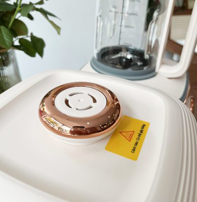 Máy làm sữa hạt Rapido RHB-600D Máy làm sữa hạt Rapido RHB-600D